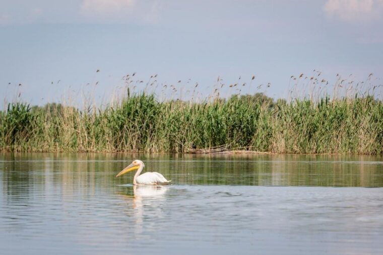 danube-delta-2-day-tour-from-bucharest