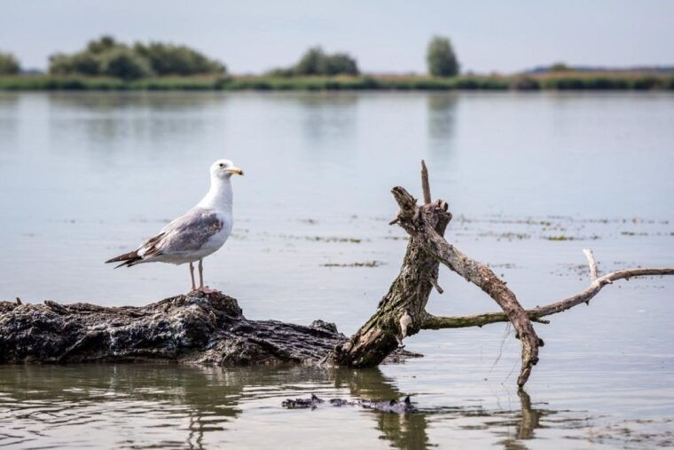 danube-delta-2-day-tour-from-bucharest