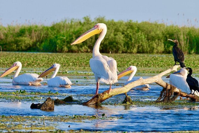 danube-delta-and-black-see-2-days-private-tour-from-bucharest