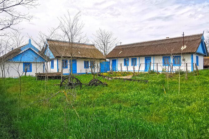 Danube Delta PRIVATE boat trip to Letea Forest (guided tour) - Who Is This Tour Best For?