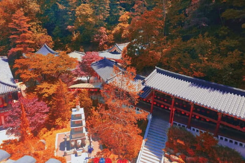 Danyang Tour: Guinsa Temple & Bobaljae & Mancheonha Skywalk - Analyzing the Value