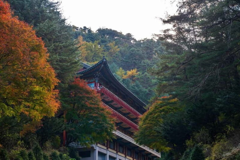 Danyang Tour:Guinsa Temple & Bobaljae & Cheongpung Cable Car - Key Points