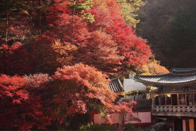 danyang-tourguinsa-temple-bobaljae-ondal-park-and-cave