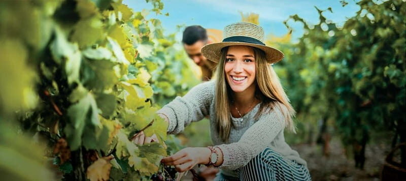 Dão Private Tour: Visit 3 Wineries with Tastings & Lunch - Who Will Love This Tour?