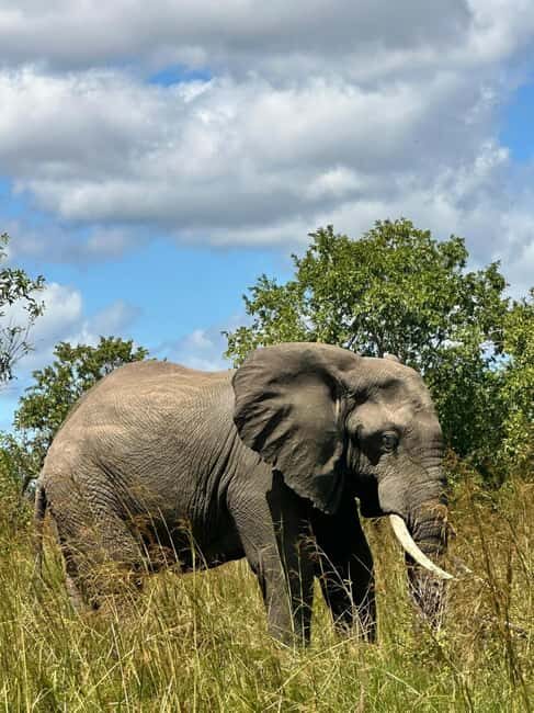 Dar es Salaam: 2-Day Mikumi Park Safari Tour by Luxury Train - Practical Tips for Your Safari  