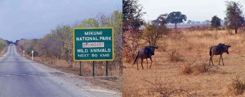 Dar es Salaam: 3-Day Mikumi National Park Safari with Meals - Key Points