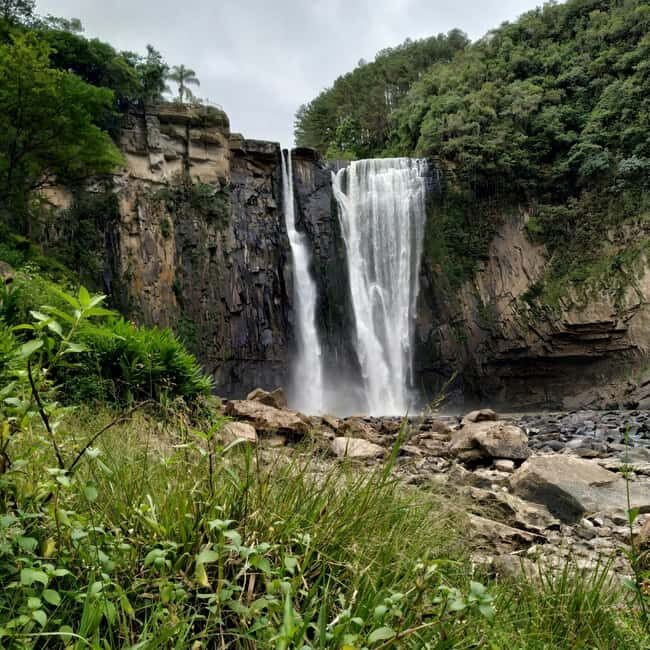 Dar es Salaam: 3-Day Mikumi & Udzungwa Safari with Train - An In-Depth Look at the 3-Day Tanzania Safari