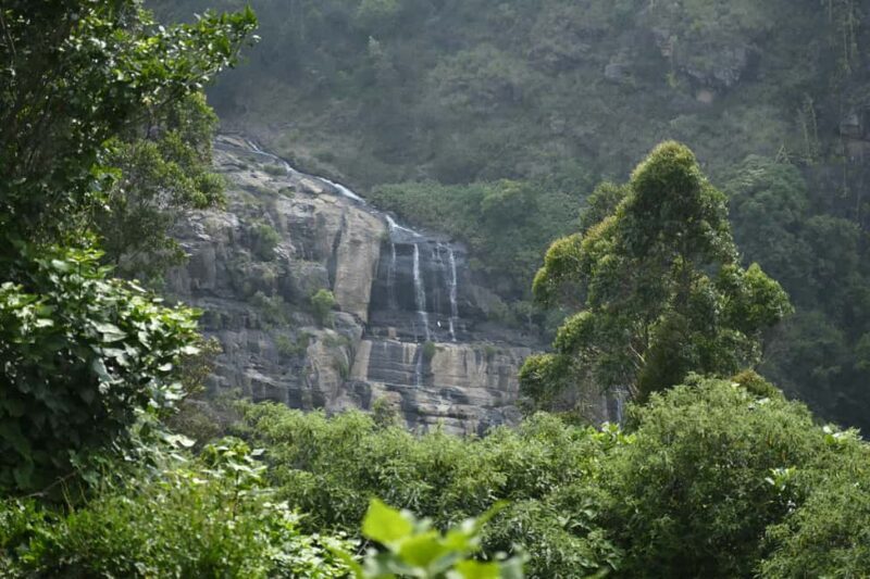 Dar es Salaam: 3-Day Mikumi & Udzungwa Safari with Train - Who Is This Tour Best For?
