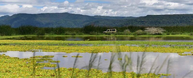 Dar es Salaam: 5-Day Mikumi & Nyerere National Park Safari - Key Points