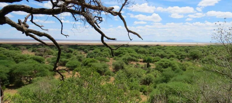 Dar es Salaam: 5-Day Mikumi & Nyerere National Park Safari - Exploring the Itinerary in Detail