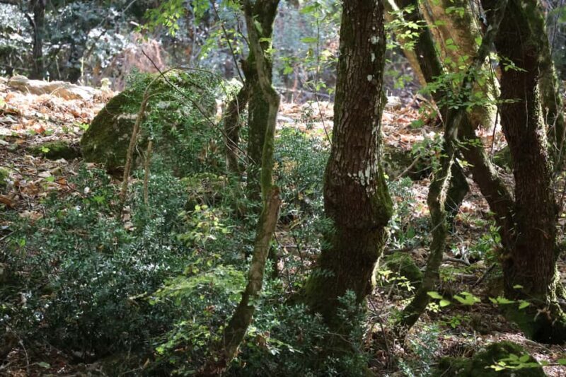 Dar es Salaam: 5-Day Selous Game Reserve & Kilwa Tour - Considerations & Tips