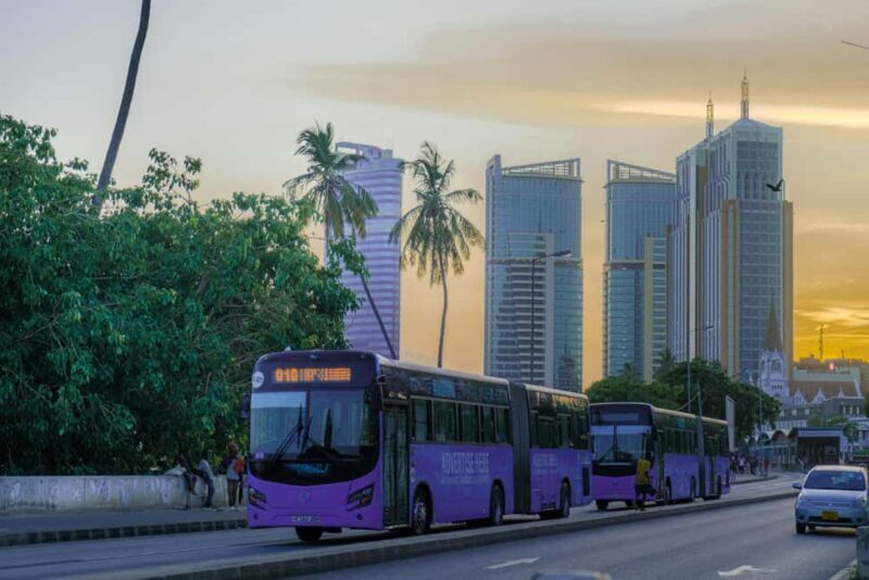 Dar es Salaam: City Highlights Tour with Local Guide - Scenic Coastal and Relaxing Spots