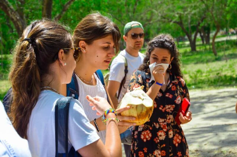 Dar es Salaam: City Tour with Lunch - A Detailed Look at the Dar es Salaam City Tour