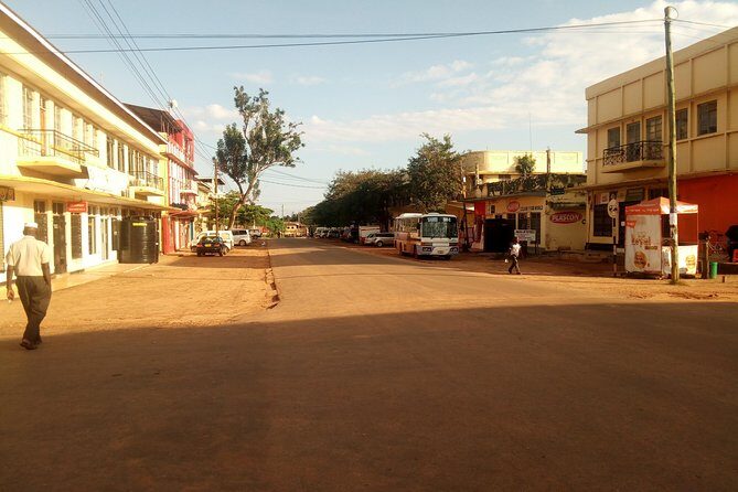Dar es Salaam City Walking tour - Explore the Life of the Local People! - Getting to Know the Dar es Salaam Walking Tour