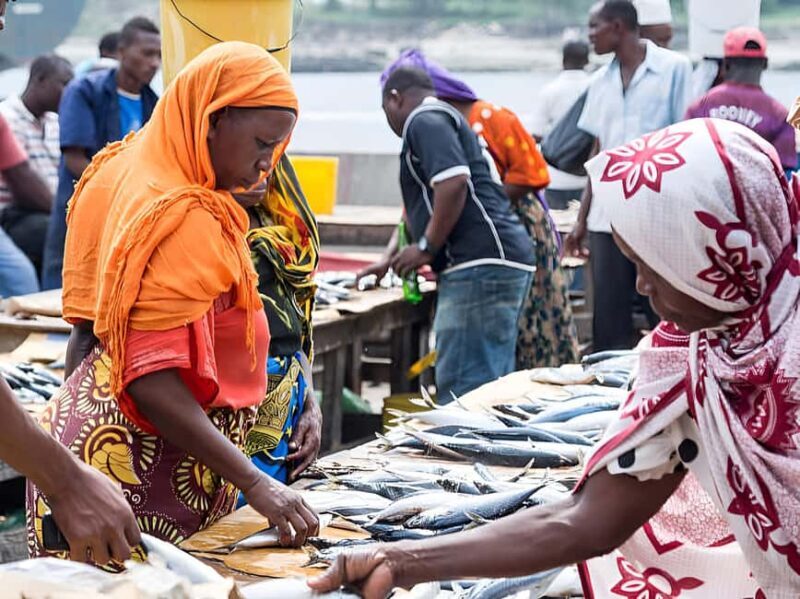 Dar es Salaam: Guided Fish Market Tour - What to Expect from the Fish Market Tour