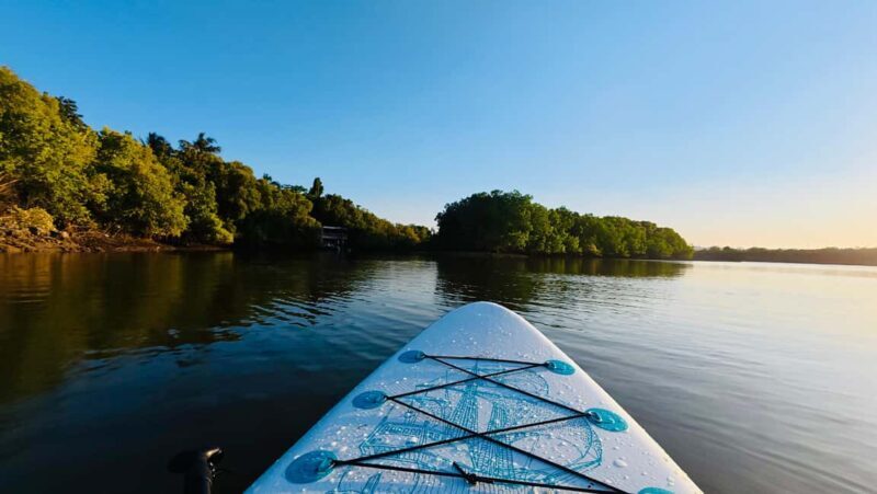 DAR ES SALAAM: Mangrove & Ocean Standuppaddle Experience - Why Choose This Tour?