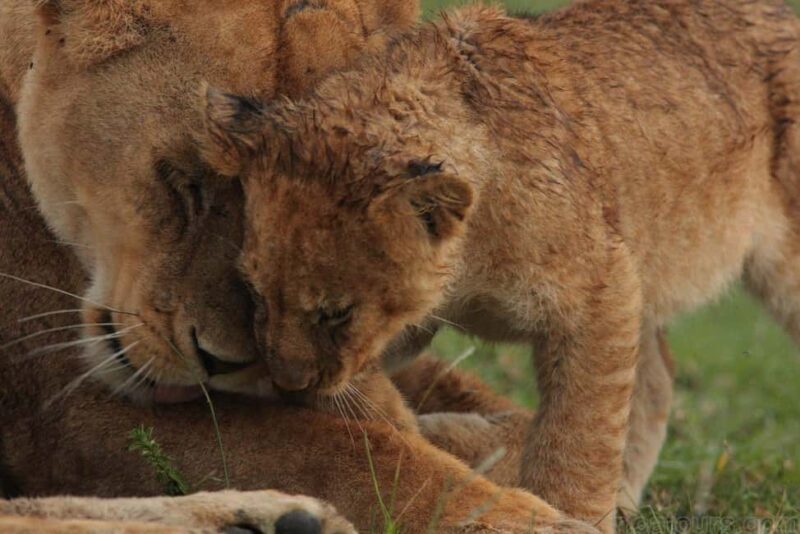Dar es Salaam: Mbudya & Bongoyo Island Full-Day Tour - The Itinerary Breakdown: What to Expect