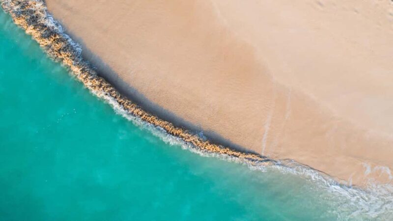 Dar es Salaam: Mbudya Island Day Trip with Snorkeling - Key Points