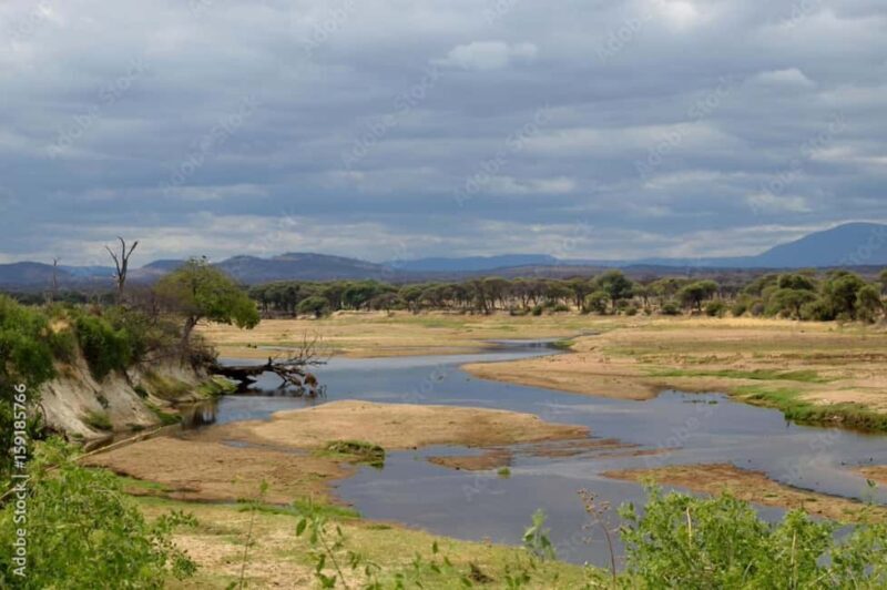Dar es Salaam: Mikumi National Park 2-Day Train Tour - Final Thoughts