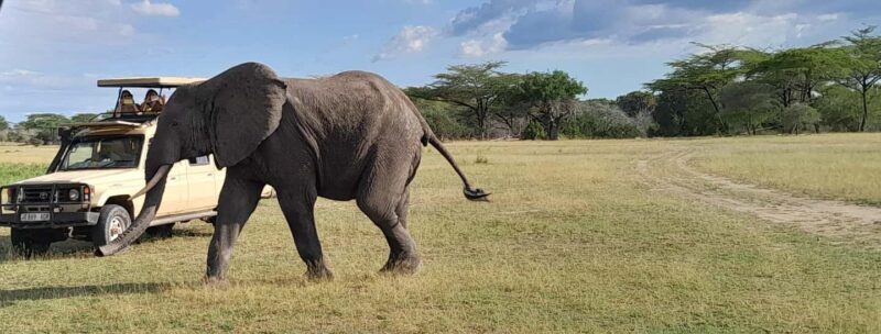 Dar es Salaam: Mikumi National Park Day Trip with Train Ride - Practical Details and Tips
