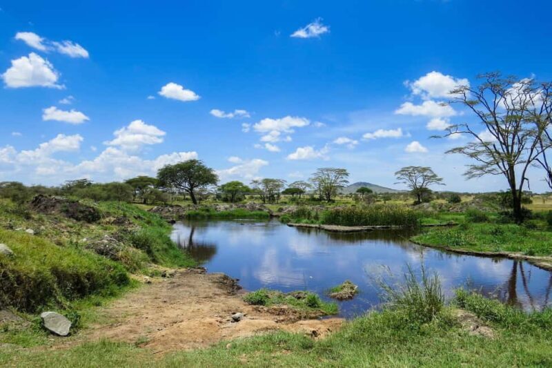 Dar es Salaam: Mikumi National Park Safari with Train Ride - The Itinerary Breakdown