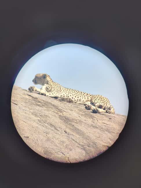Dar es Salaam: Mikumi National Park Safari with Train Ride - Final Thoughts: Is It Worth It?