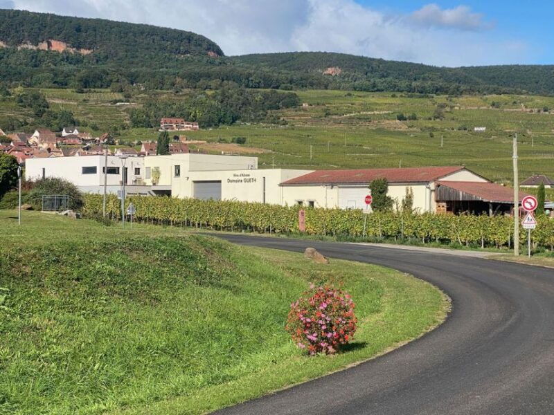 dare-to-alsace-wine-with-a-feminine-touch