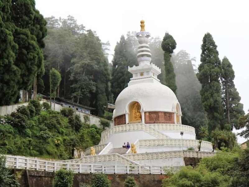 Darjeeling: 4 Day Tour w Tea Garden Visit, transfers & stay - The Value of the Tour: Is It Worth It?