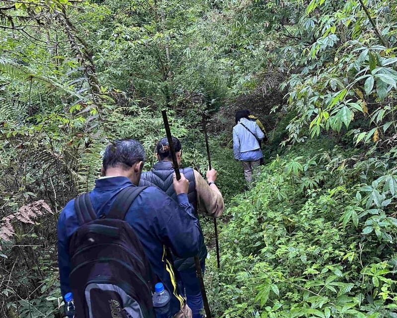 Darjeeling: Tiger Hill Sunrise Hike  Guided Day Trip - FAQs