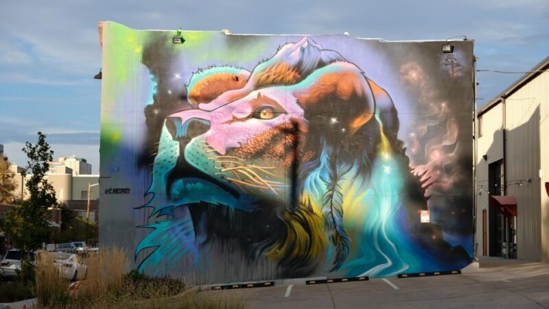 Dark Side of Denver  RiNos True Crime and Murals Tour - The Sum Up