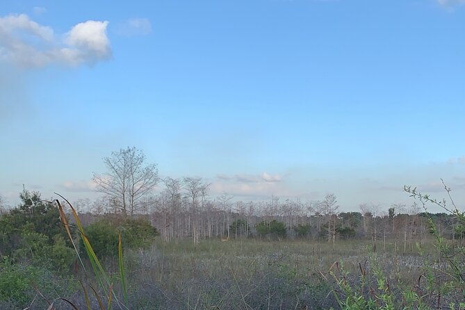 dark-skys-in-the-florida-everglades