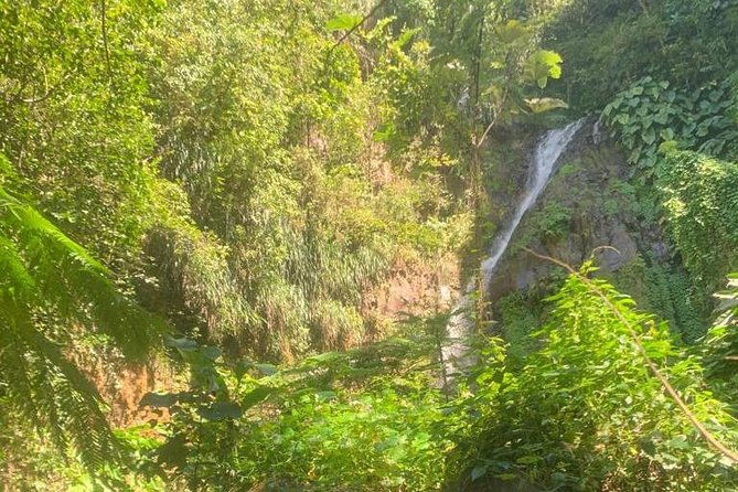 dark-view-falls-private-tour