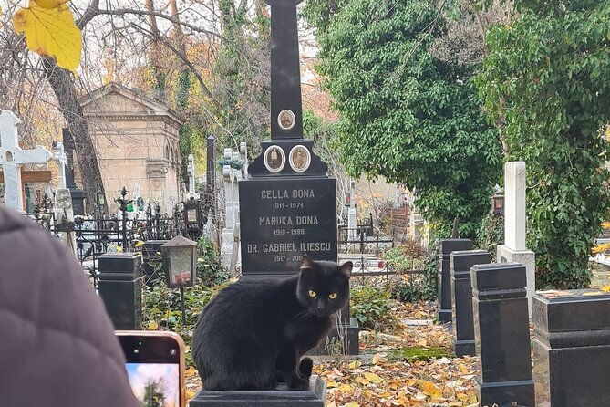 darkside-tour-of-bucharest-small-group