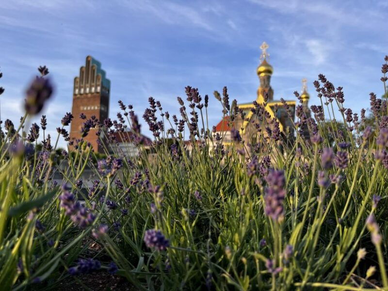 darmstadt-city-highlights-and-history-guided-walking-tour