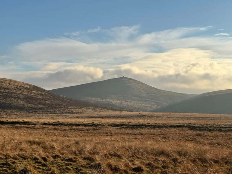 Dartmoor National Park: Half Day Guided Hiking Tour - A Closer Look at the Tour Experience