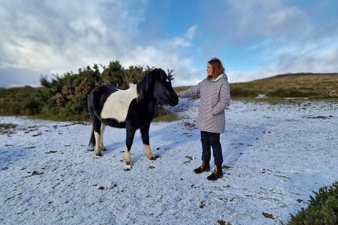 dartmoor-tour