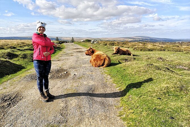 dartmoor-tour