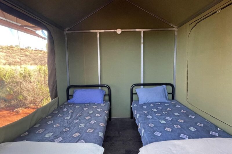 Darwin: 5-Day 4WD Kakadu Litchfield Tour & Billabong Cruise - Potential Drawbacks and Considerations