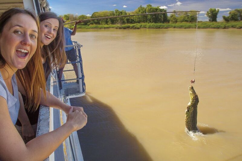 Darwin: Adelaide River Half-Day Jumping Crocs Cruise - Key Points