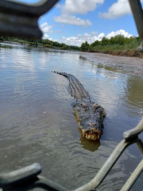 Darwin and Crocodile Tour - Key Points