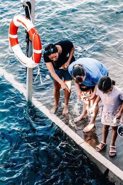 Darwin: Aquascene Fish Feeding Experience - The Sum Up