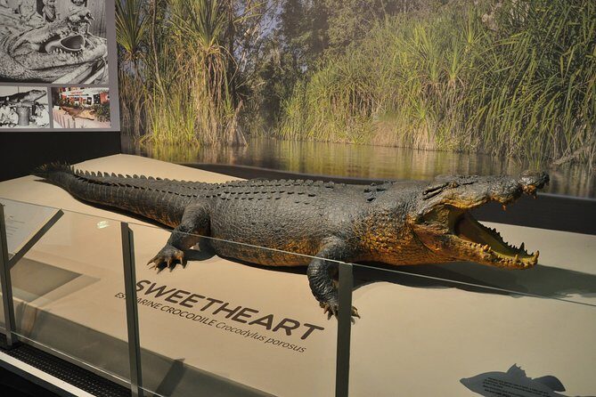 Darwin City Explorer Tour - Who Will Love This Tour?