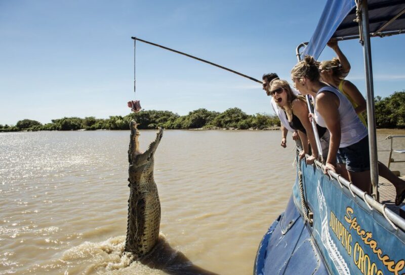 Darwin: City Sights and Jumping Crocodile Cruise - Introduction