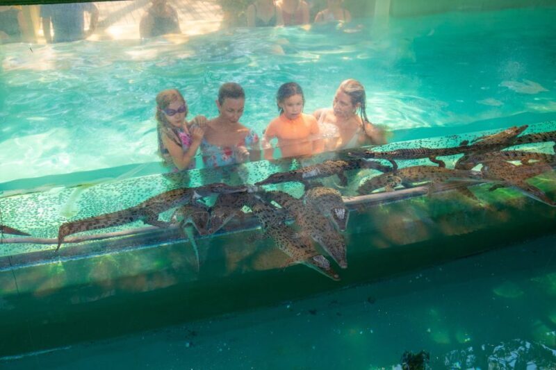 Darwin: Crocosaurus Cove Entry & Hop-on-Hop-Off Bus Tour - Frequently Asked Questions