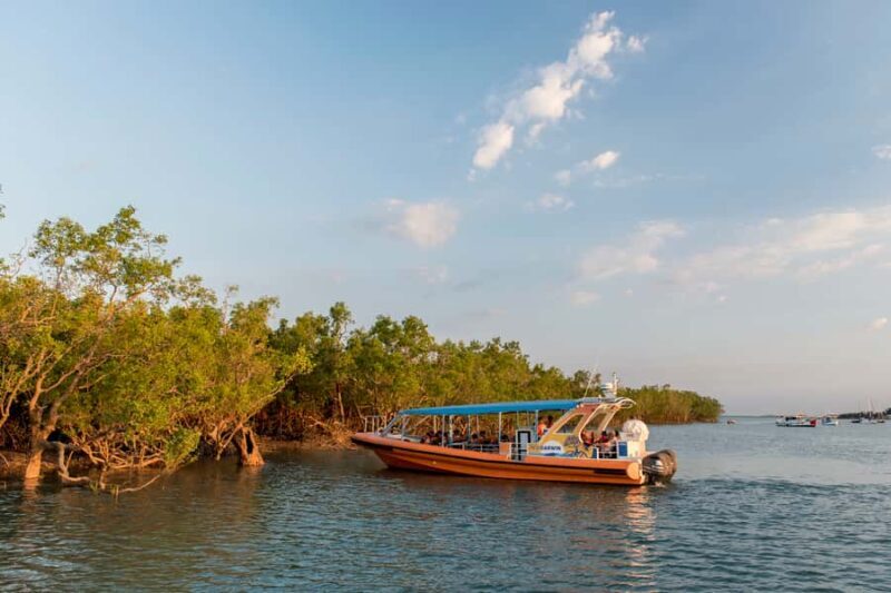 Darwin Harbour Cruise - Key Points