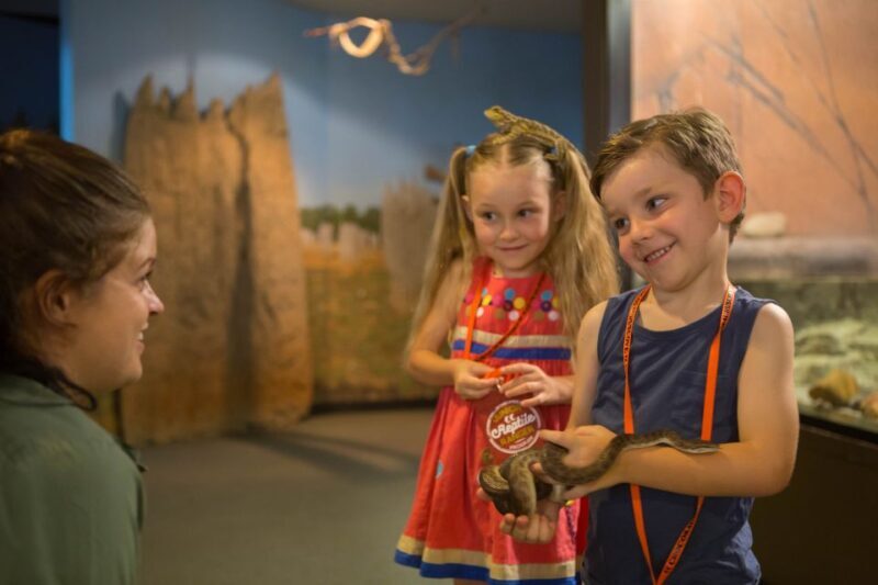 Darwin: Hop-On Hop-Off Bus, Crocosaurus Cove and RFDS Entry - What to Expect from This Tour