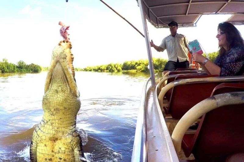 Darwin: Jumping Crocodile Adventure Cruise with Lunch - Up Close with Crocodiles: The Main Event