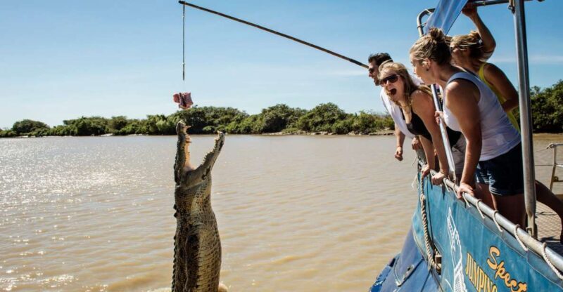 Darwin: Jumping Crocodile Cruise - Key Points