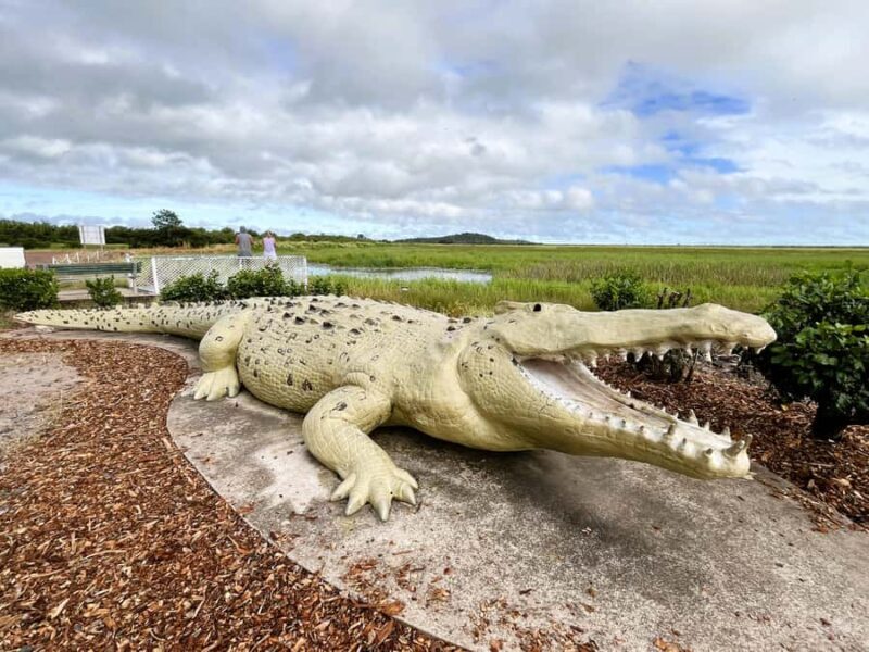 Darwin: Jumping Crocodile River Cruise with Shuttle Bus - What We Found Most Valuable