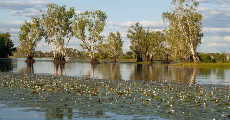 Darwin: Kakadu National Park Day Trip - What to Expect from the Kakadu Day Trip